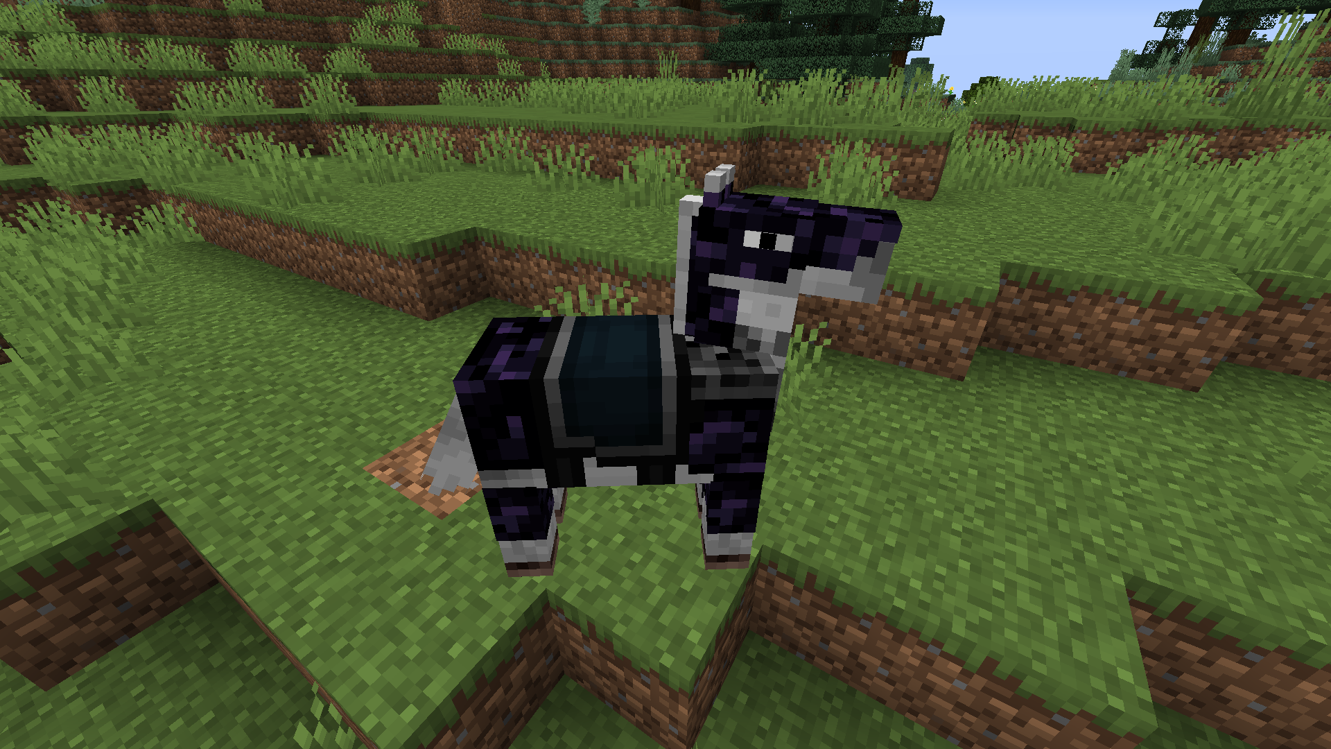 Obsidian Horse Armor