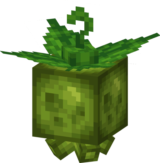Lantern