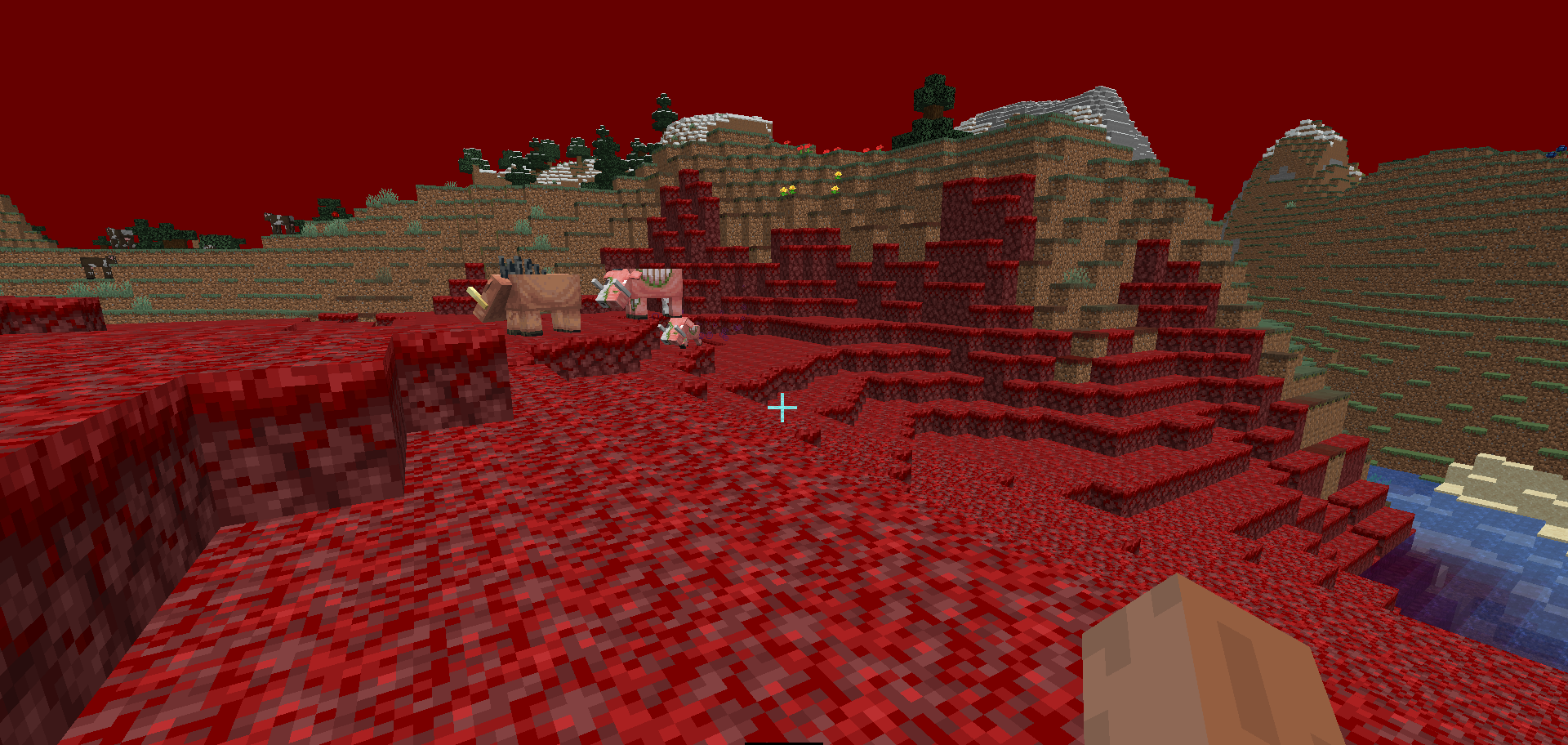 Nether Biome