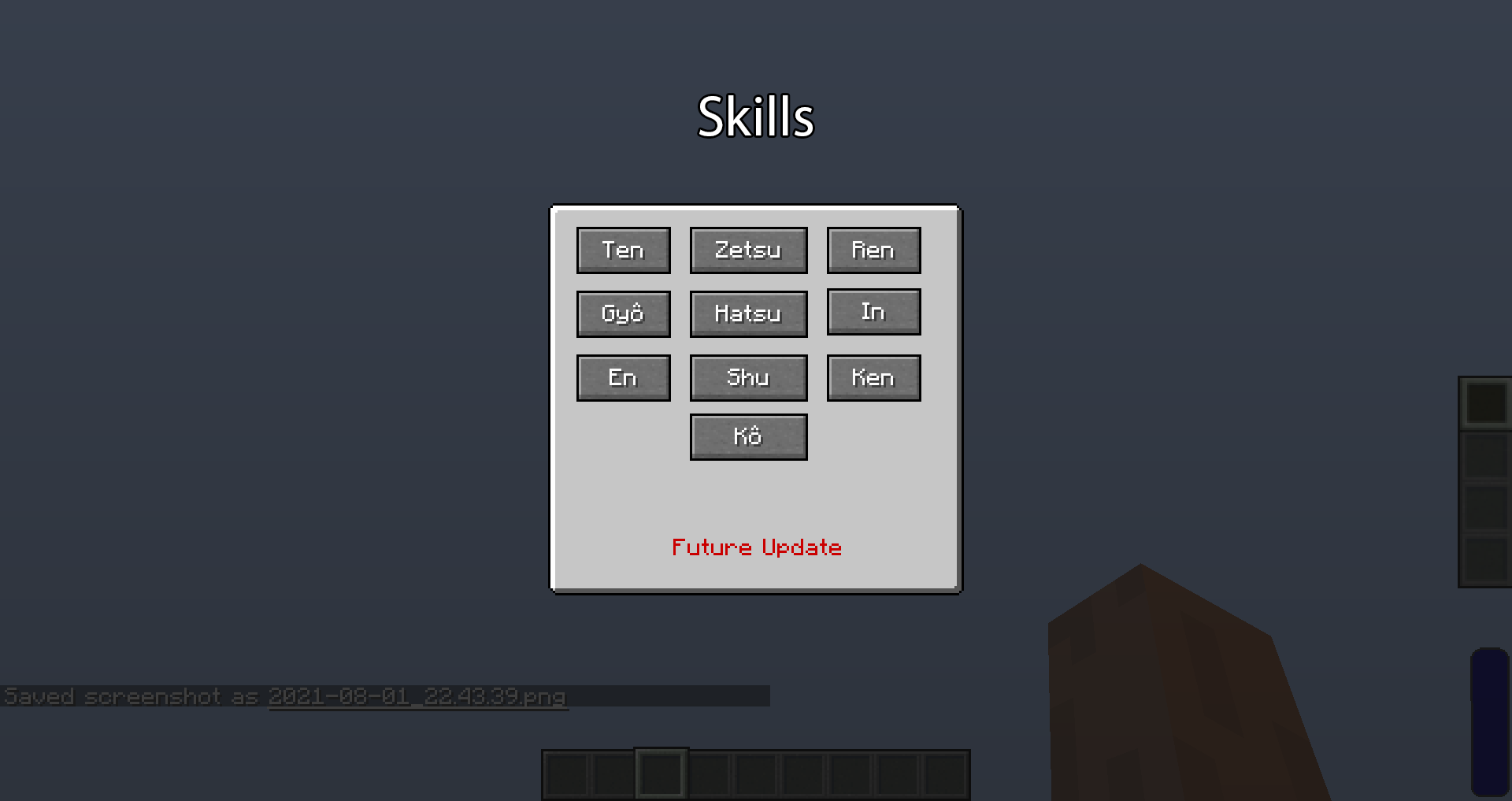 Skills Interface