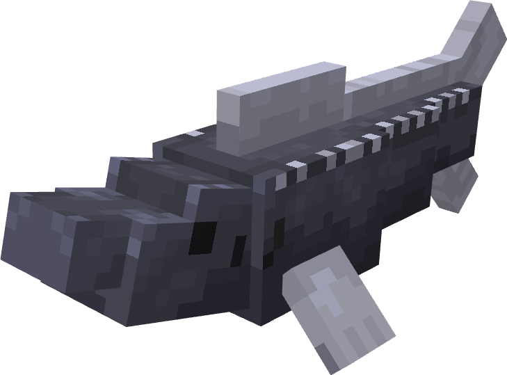 Beluga Sturgeon