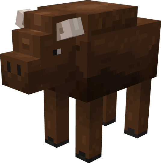 Bison