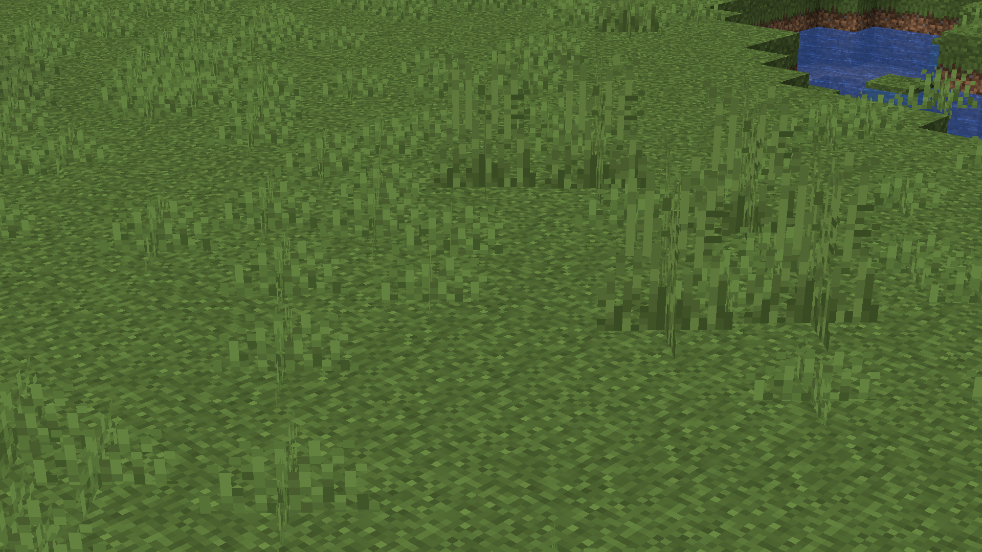 Shorter Tall and Double Tall Grass