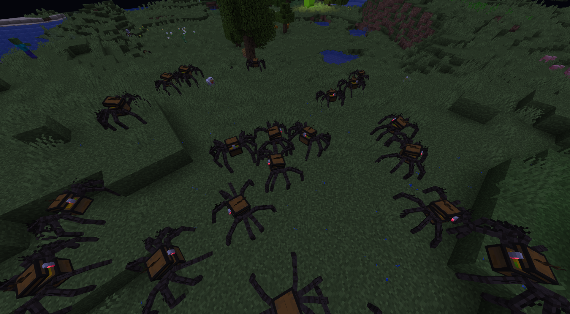 Lots of mimicry spiders roaming the surface