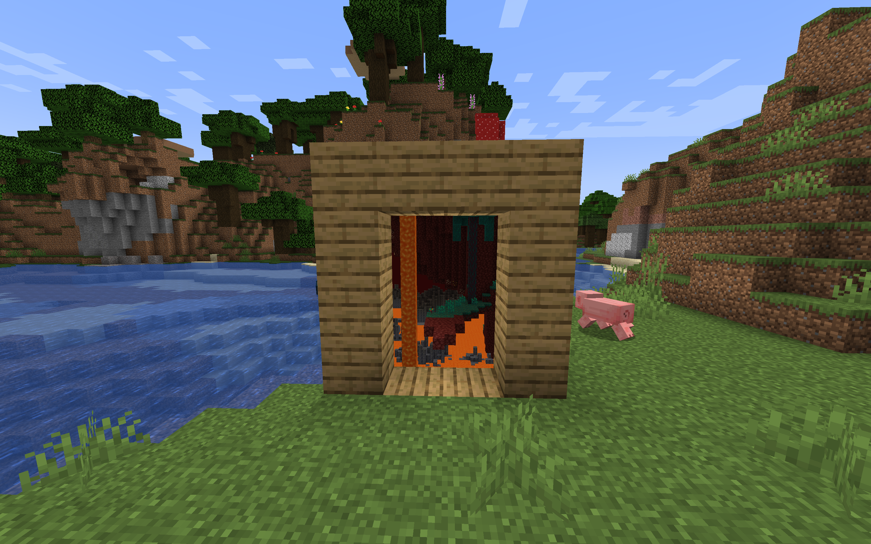 Nether Portal