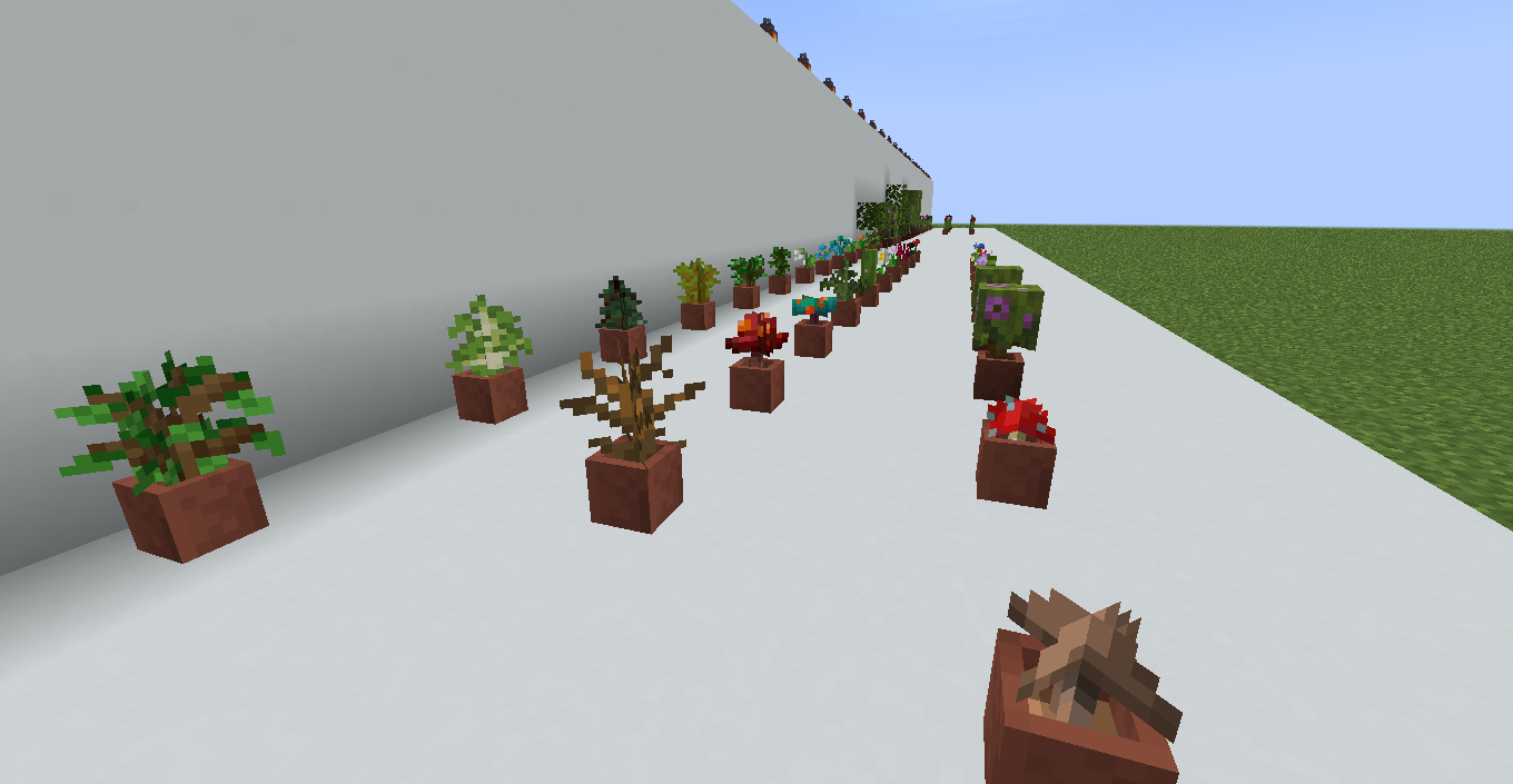 Potted plants