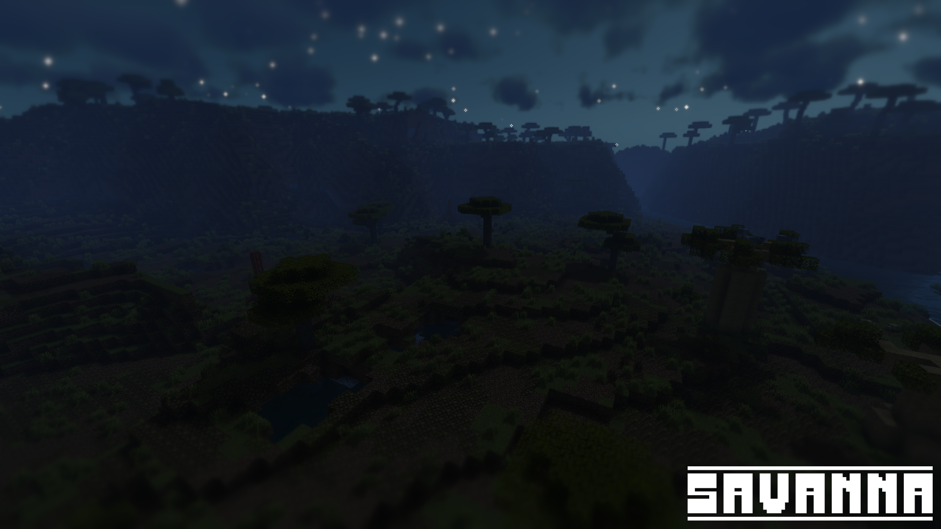 The Savanna at night