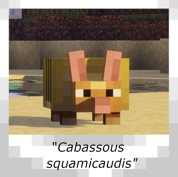 The Armadillo, a new tamable mob!