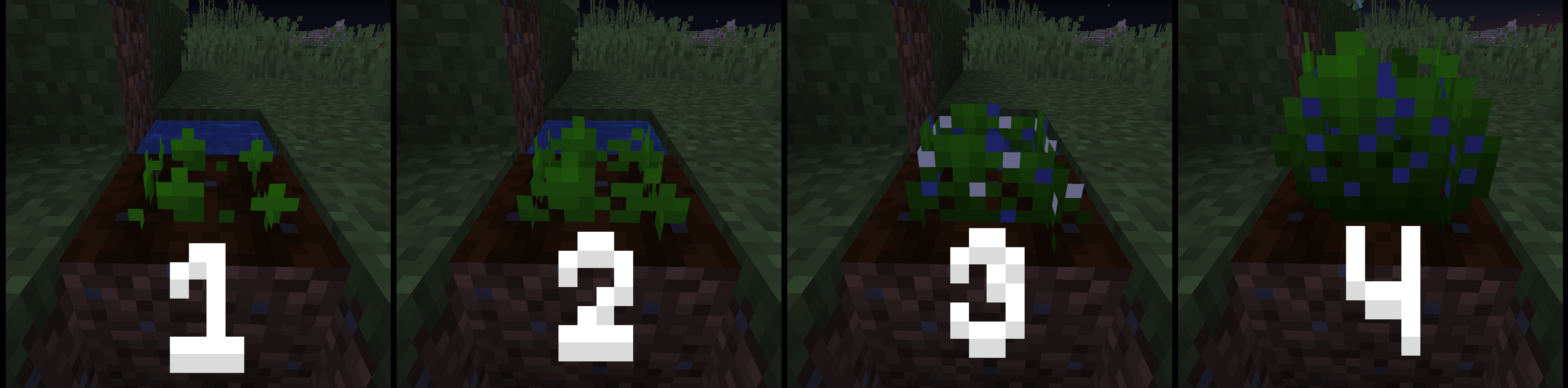 Here's all 4 growth stages of the blueberry crop.