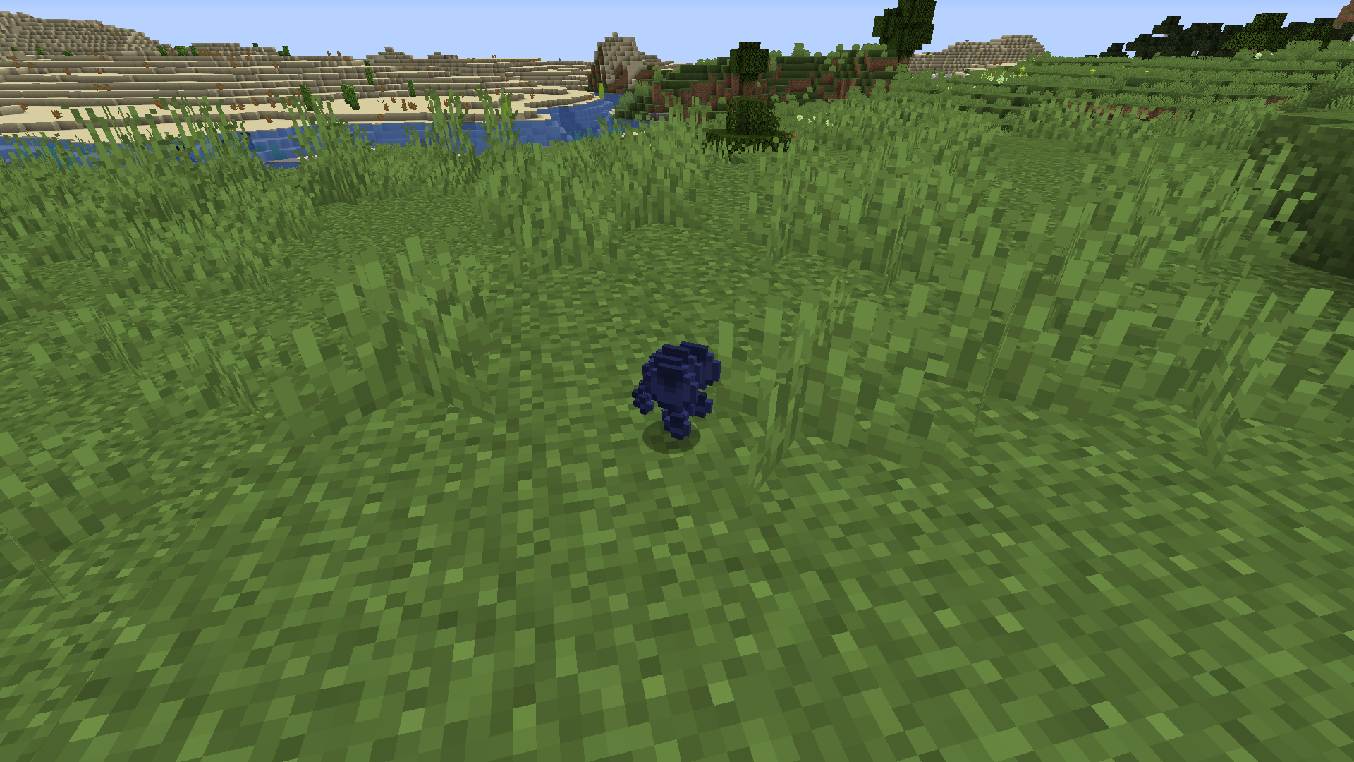 Blueberry