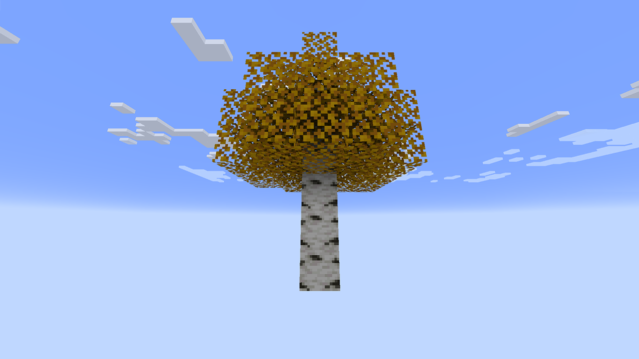 birch tree