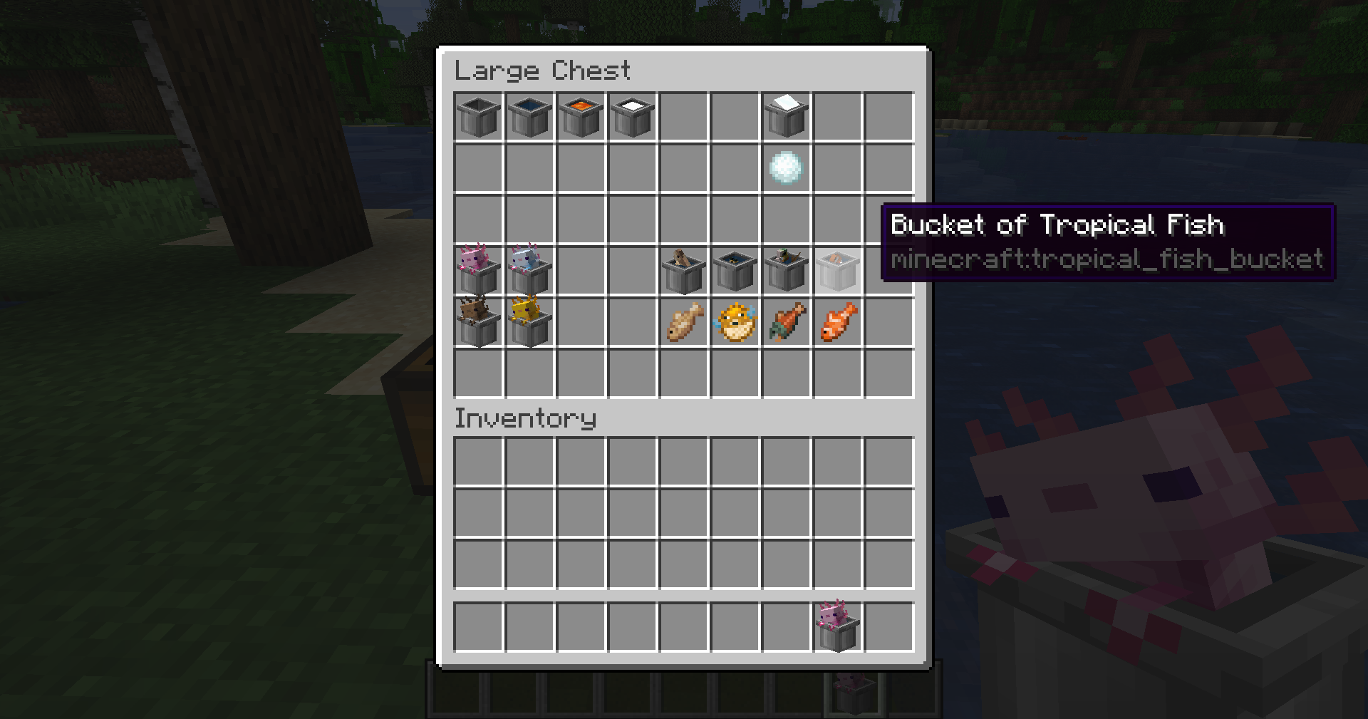 Craft Tropical Fish Bucket Minecraft Data Pack