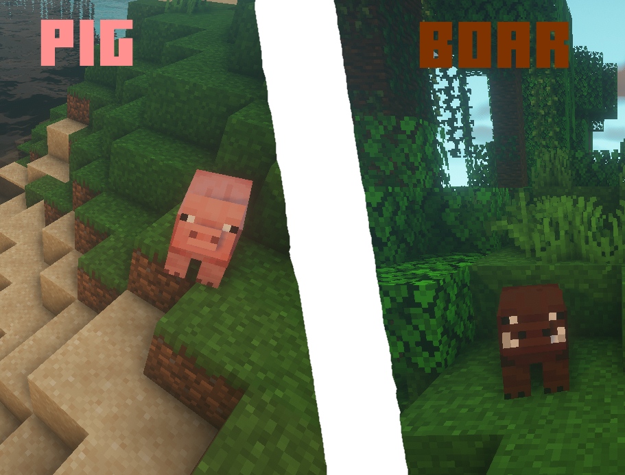 Pig vs Boar