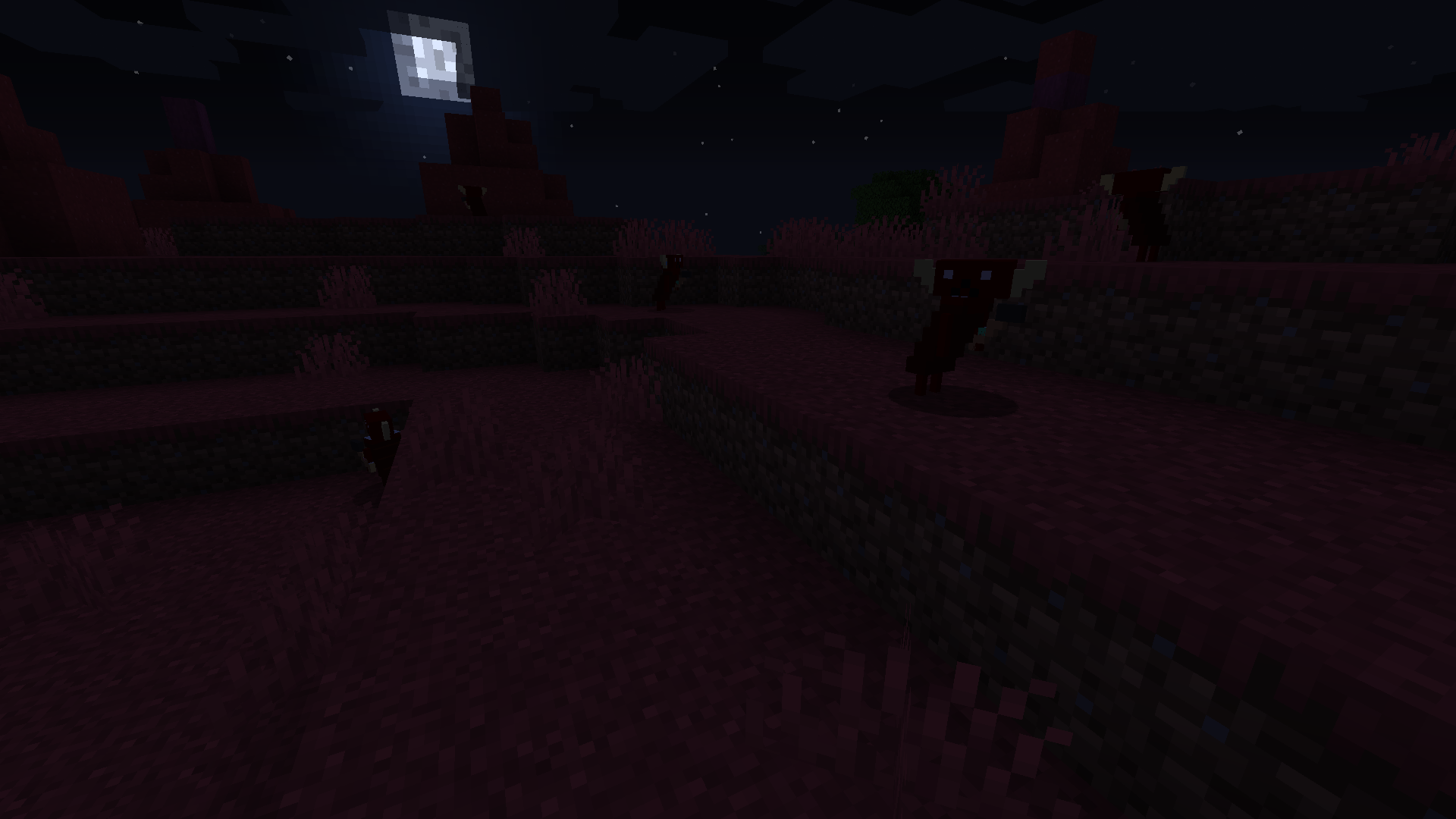 View of the mob