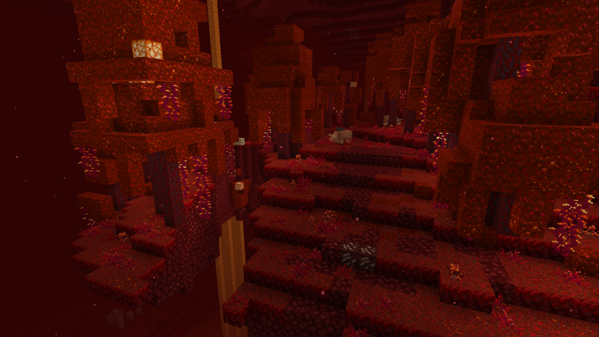 Nether