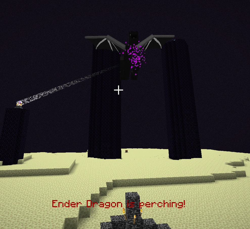 Ender Dragon is perching!