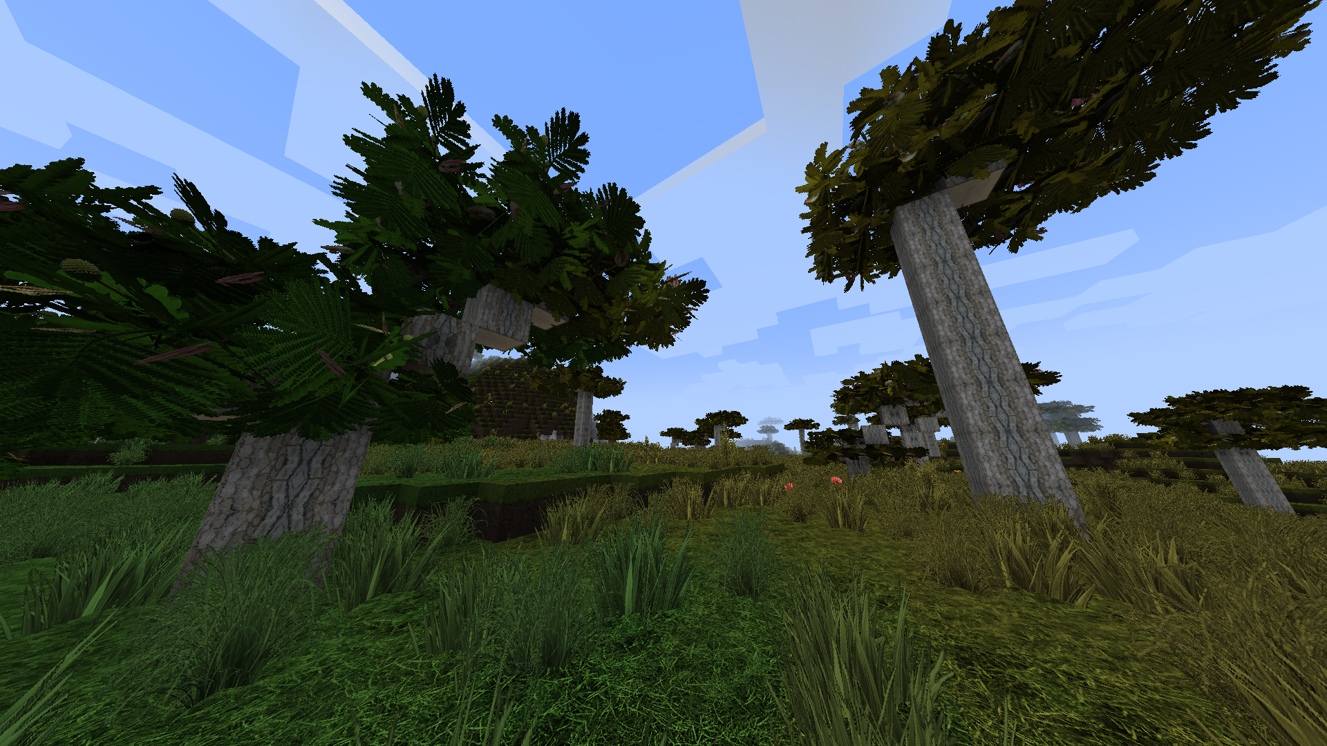 Biome Differences