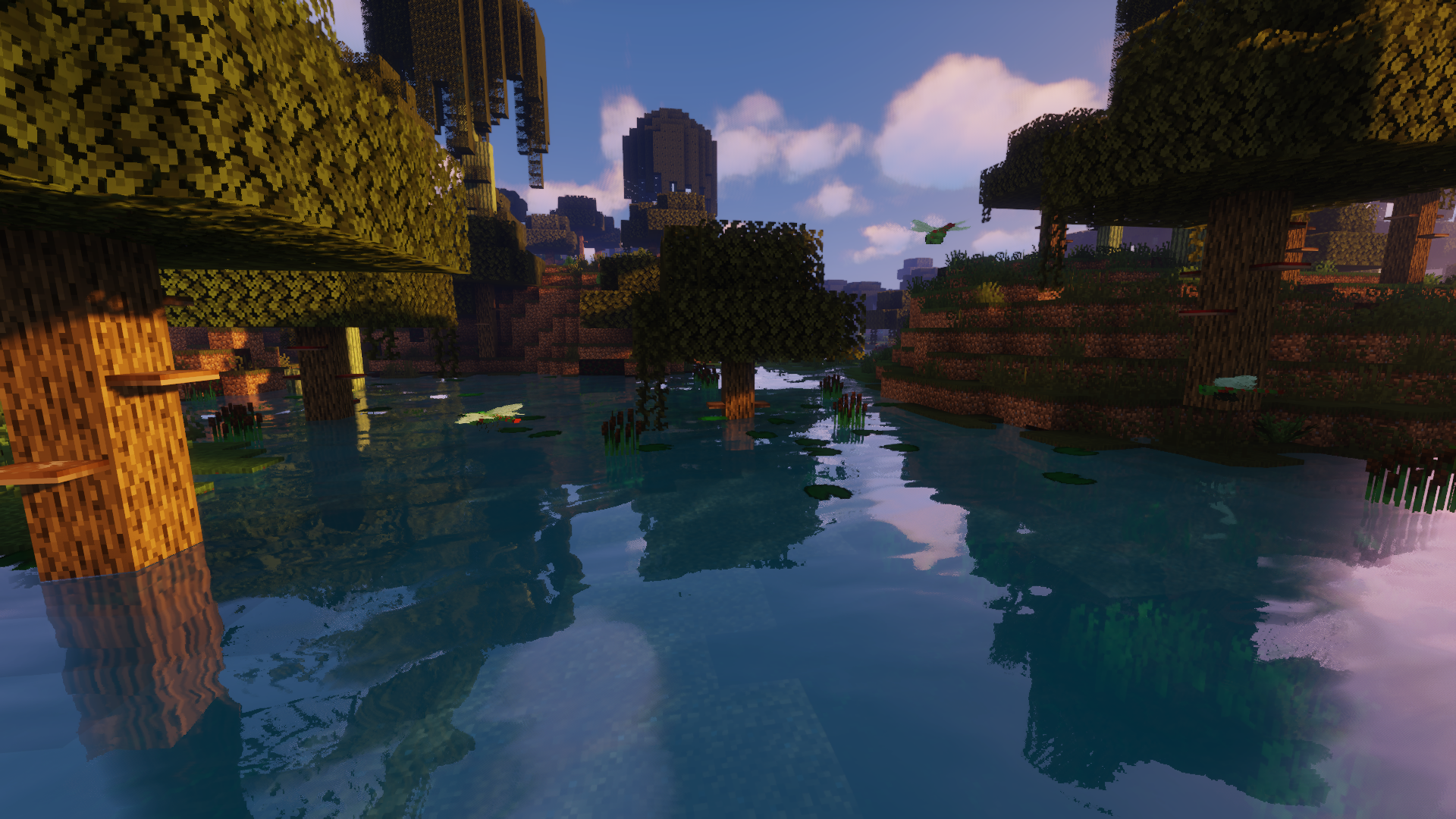 The Updated Swamp!