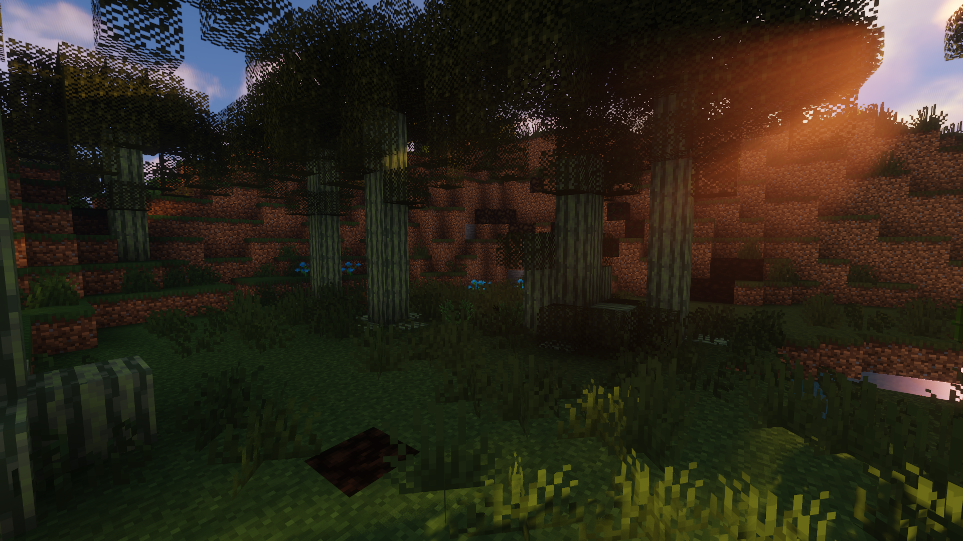The Peaceful Swamp