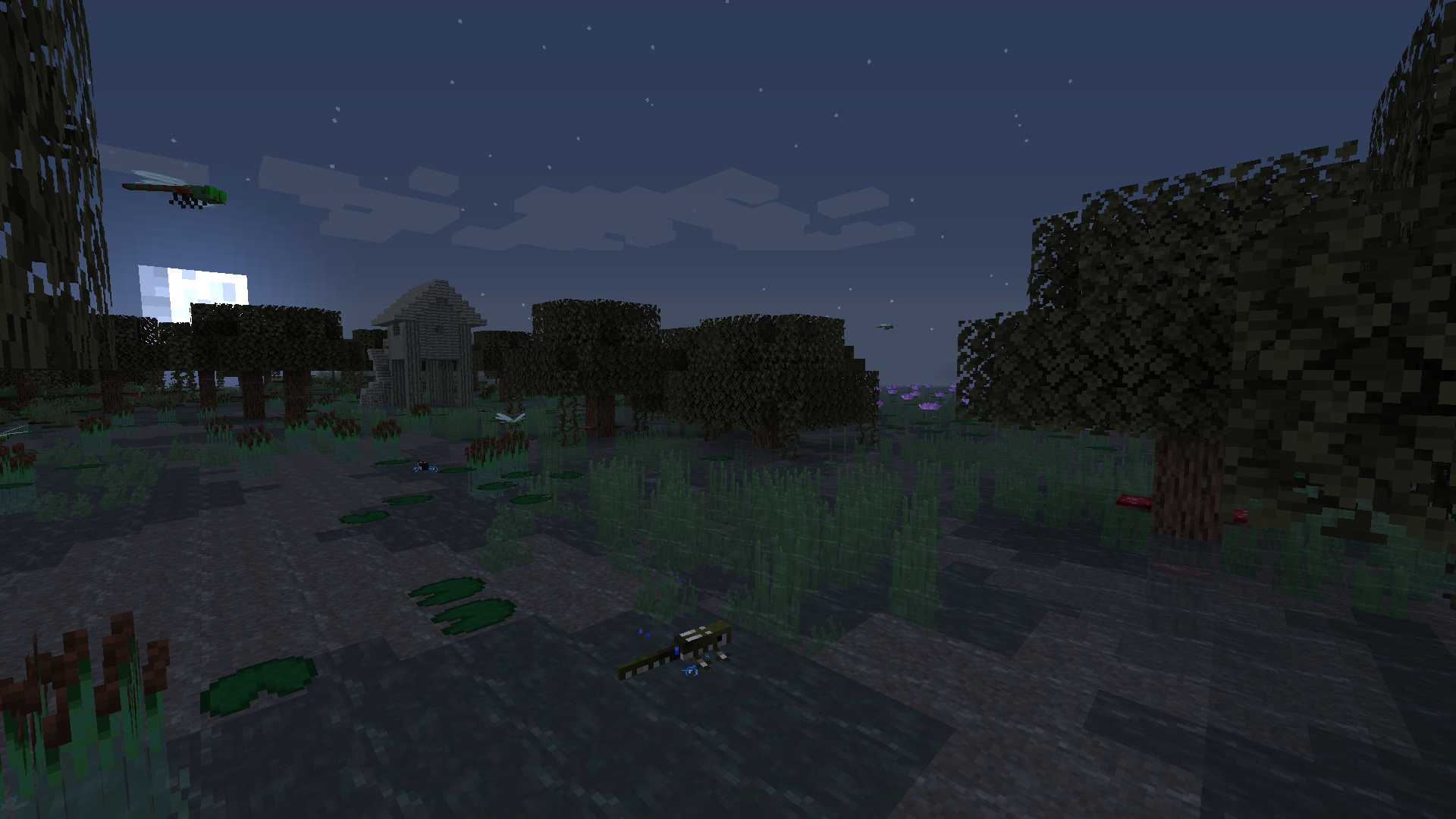The Swamp At Night