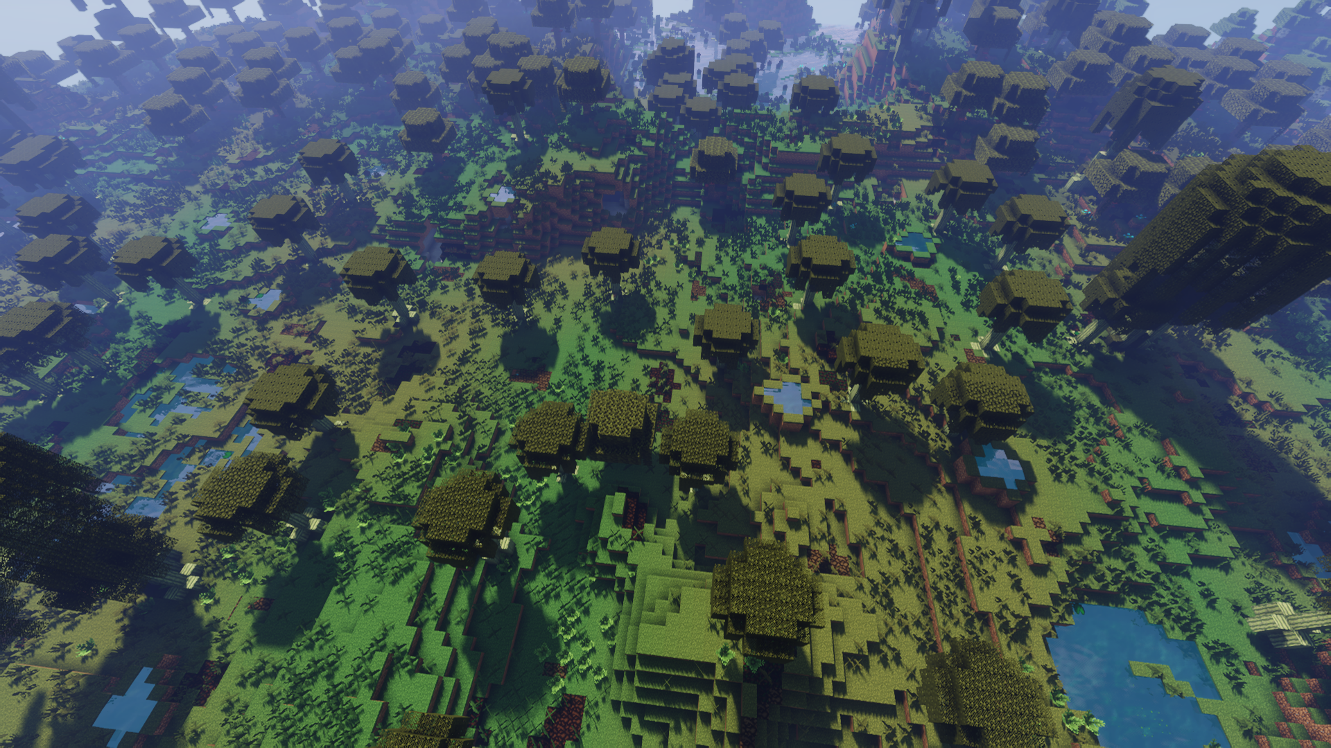 A Large Peaceful Swamp