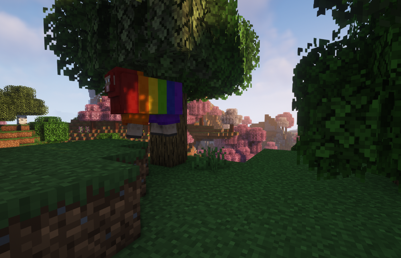 rainbow sheep says hi