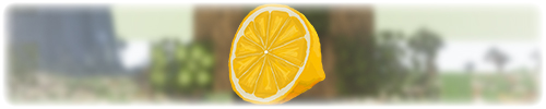Zest SMP Logo featuring a lemon