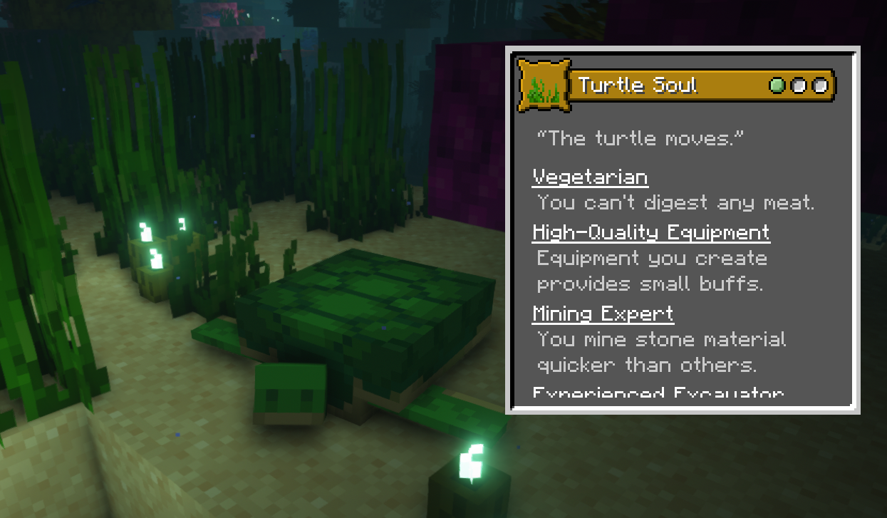 Turtle Soul