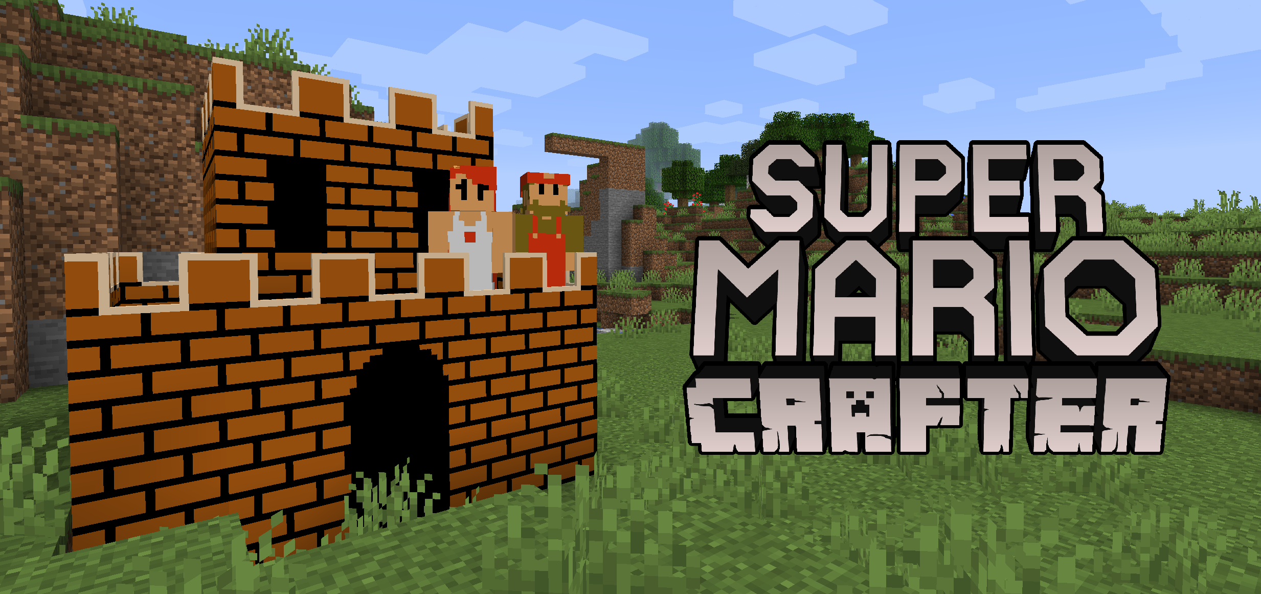 Mario Craft: World of Blocks - Minecraft Mods - CurseForge