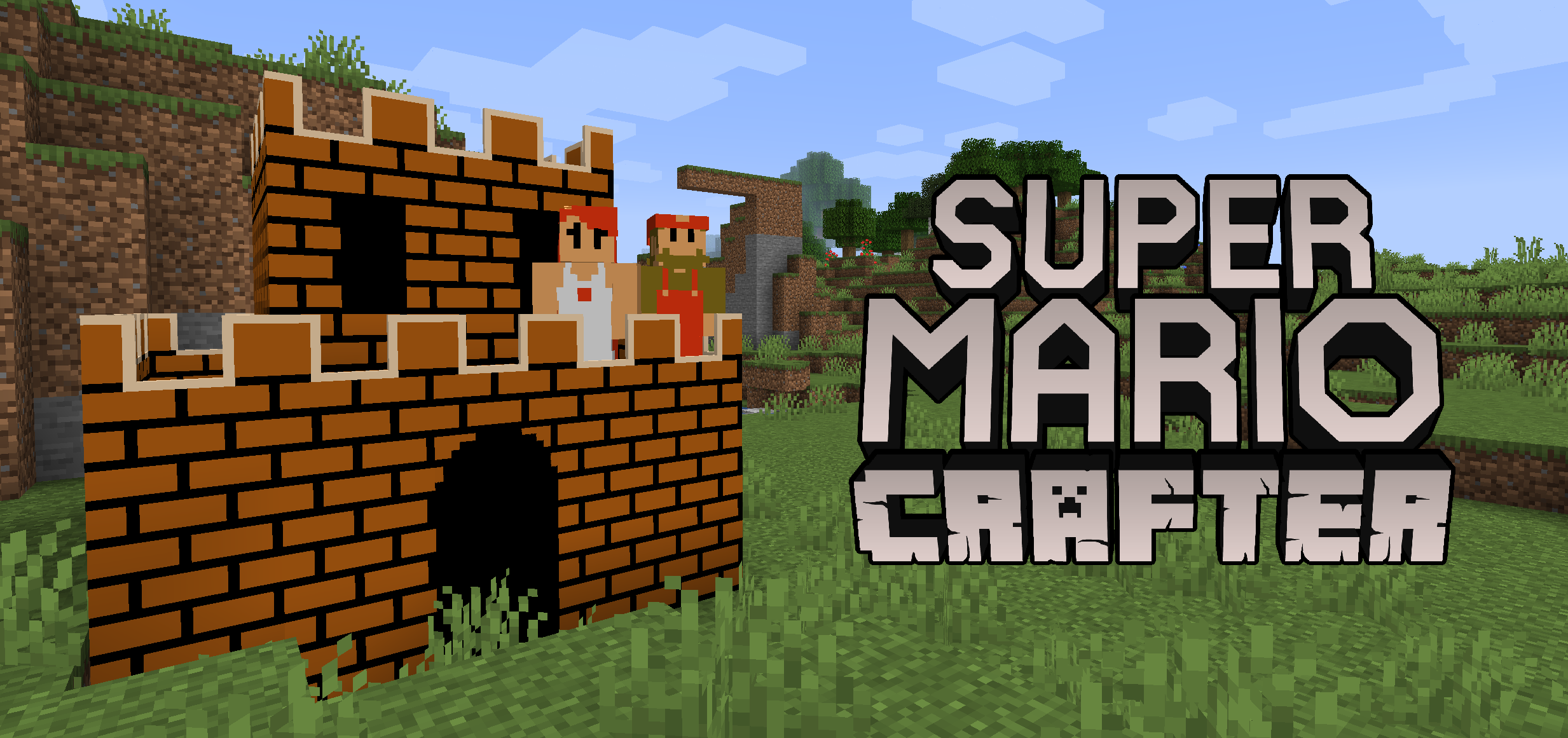 Super mario clearance minecraft