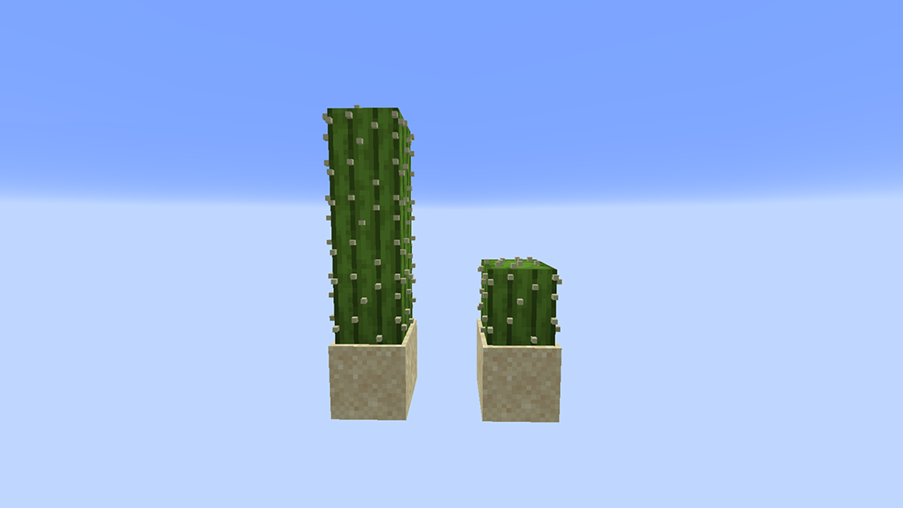 cactus