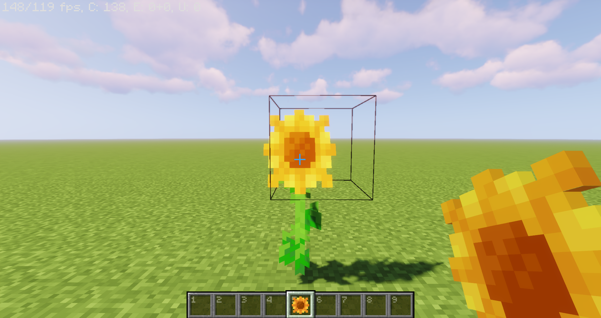 Fancy Sunflowers