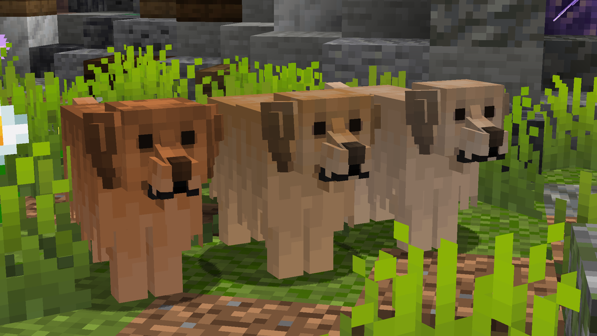 Better Dogs - Screenshots - Minecraft Resource Packs - CurseForge