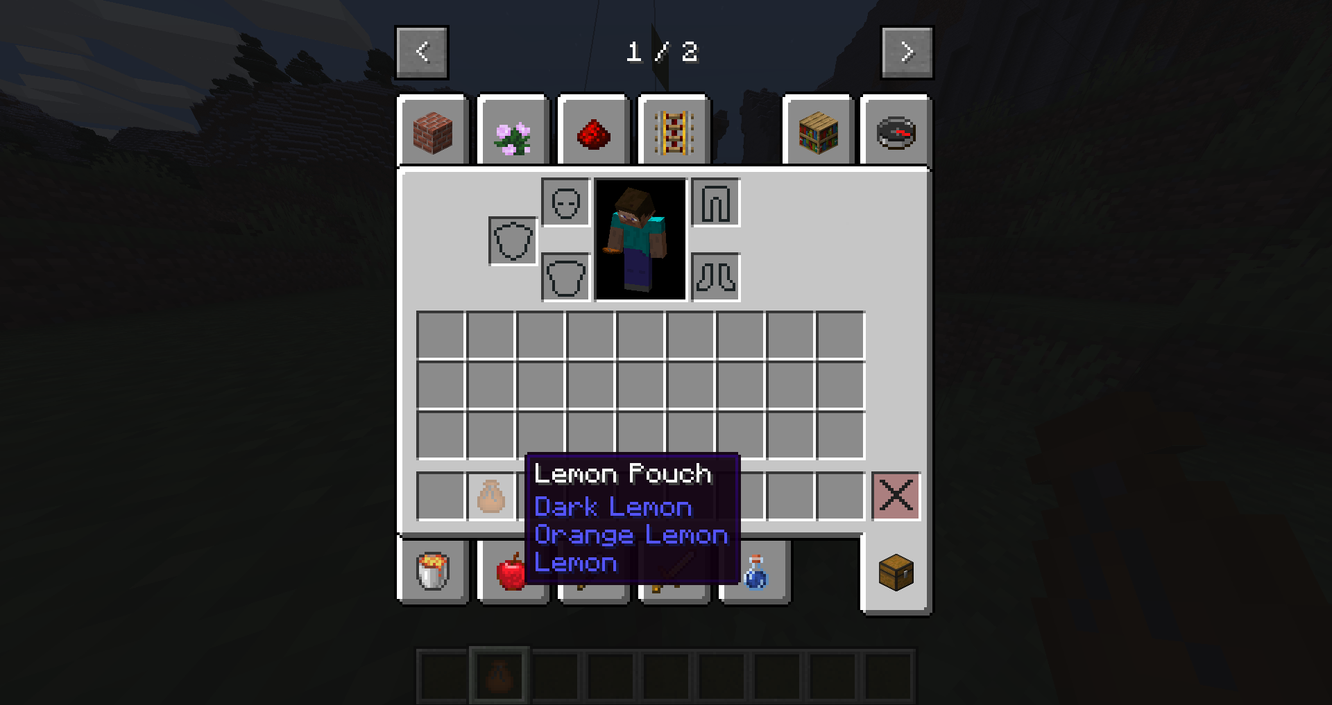 Viewing a lemon pouch from the inventory