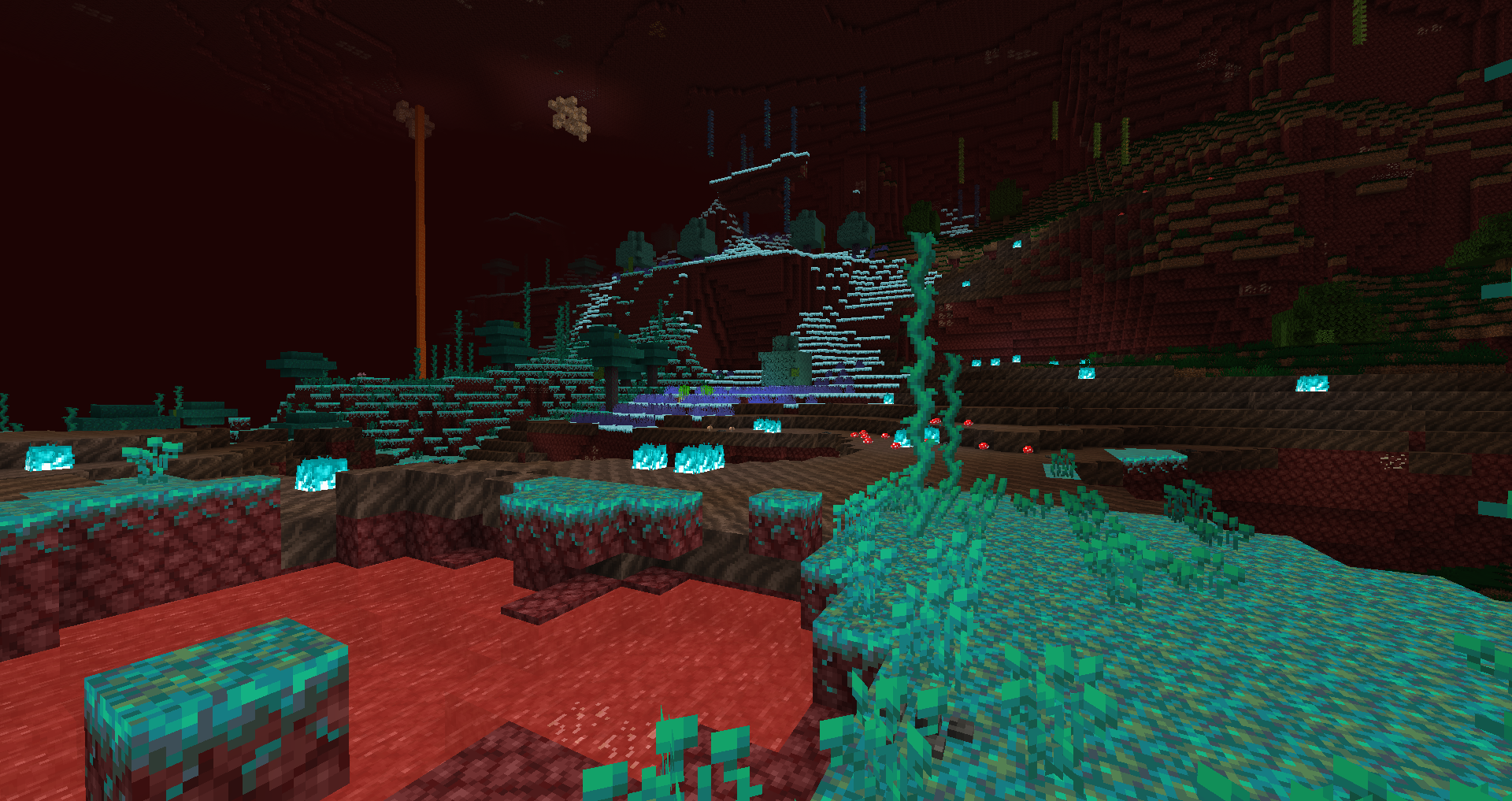 Nether Biome