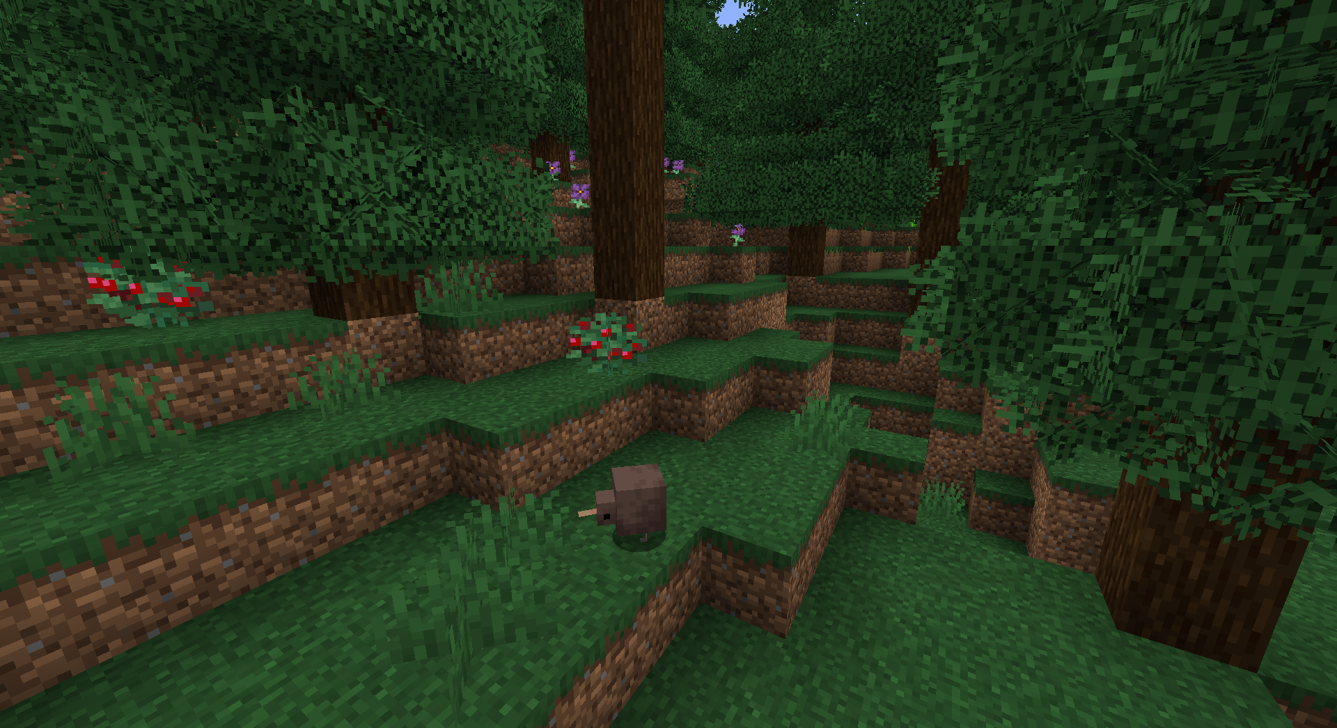 A lone Kiwi forages through the wilderness of the Taiga. I wonder what else it thinks about all day...