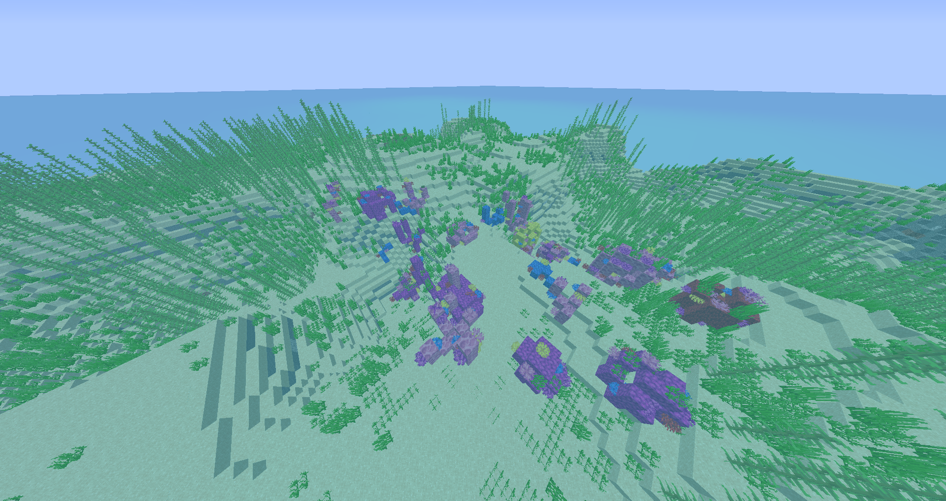 Coral reef after resource pack