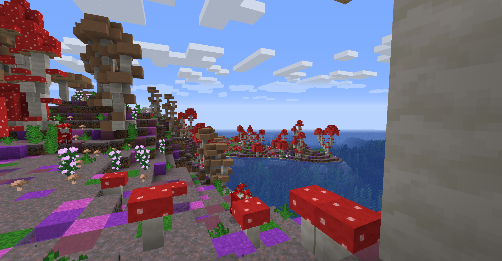 Mushroom Islands