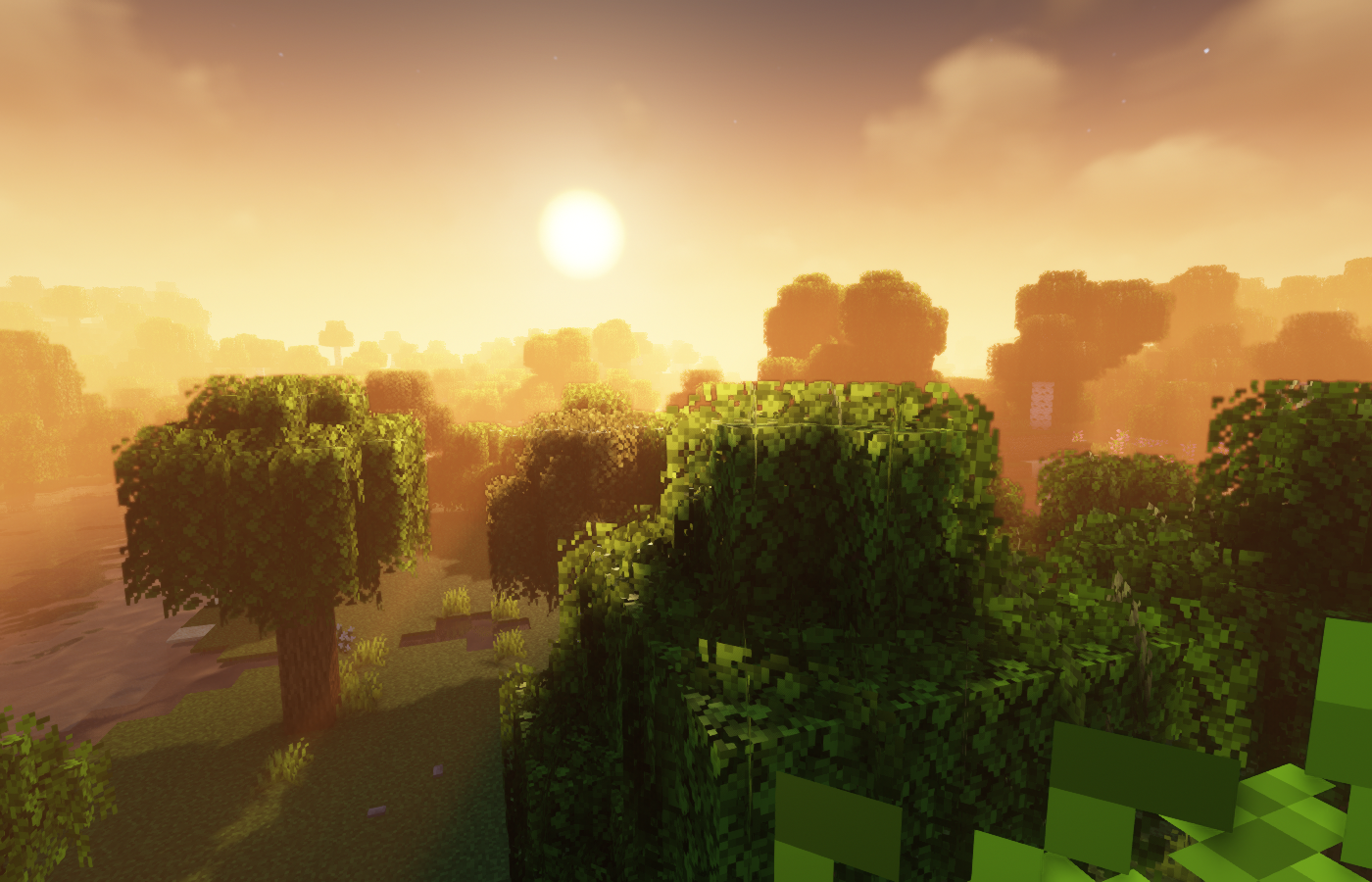 shaders make everything better