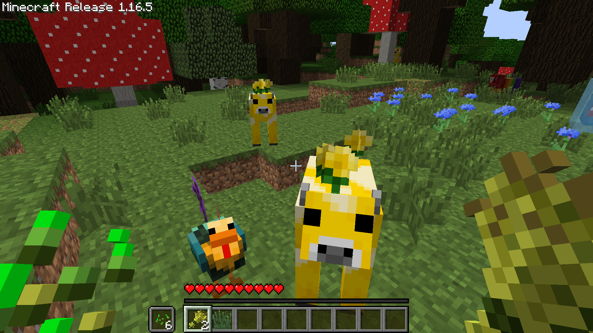 Originally came from Minecraft Earth