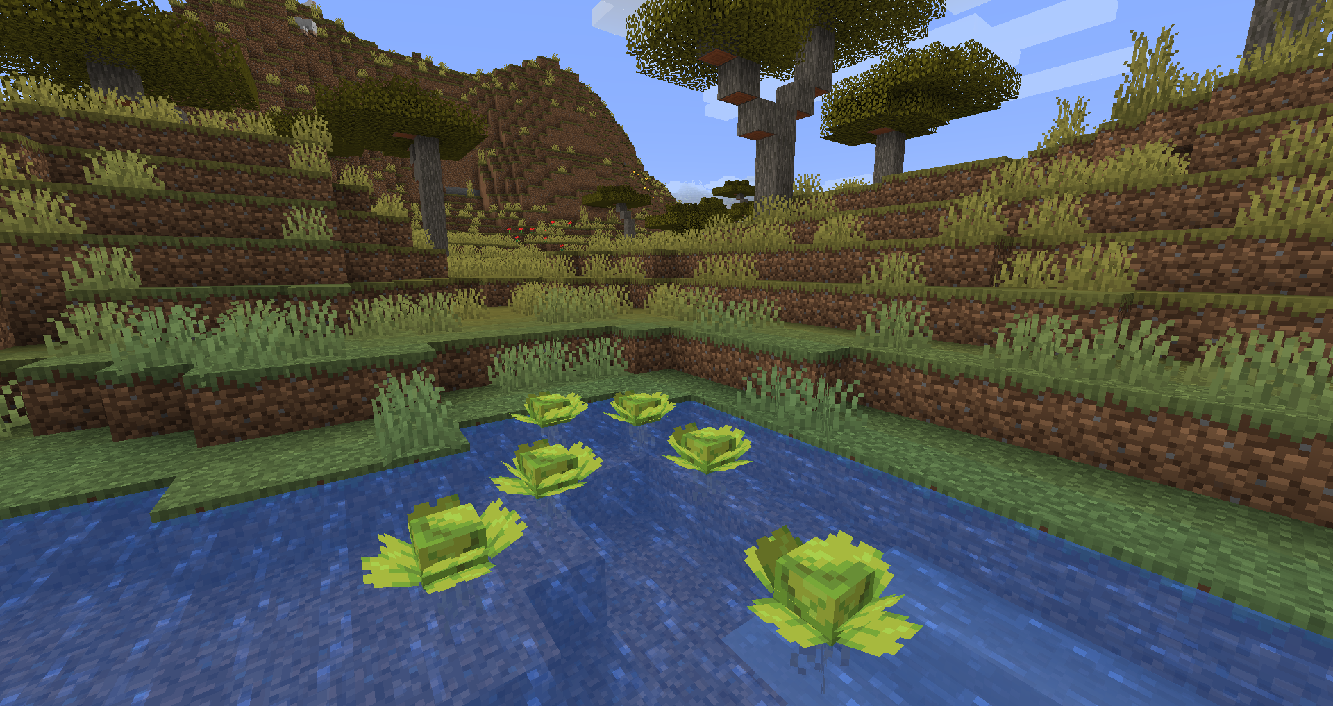 Water Lettuce in a Savanna 