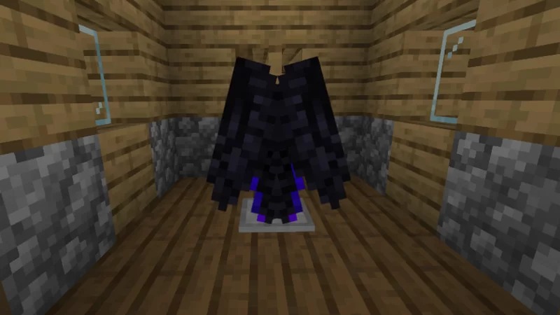 Elytra 