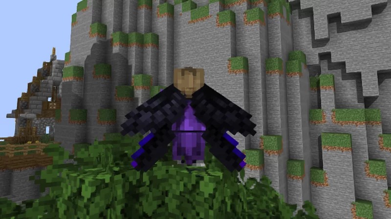 Elytra