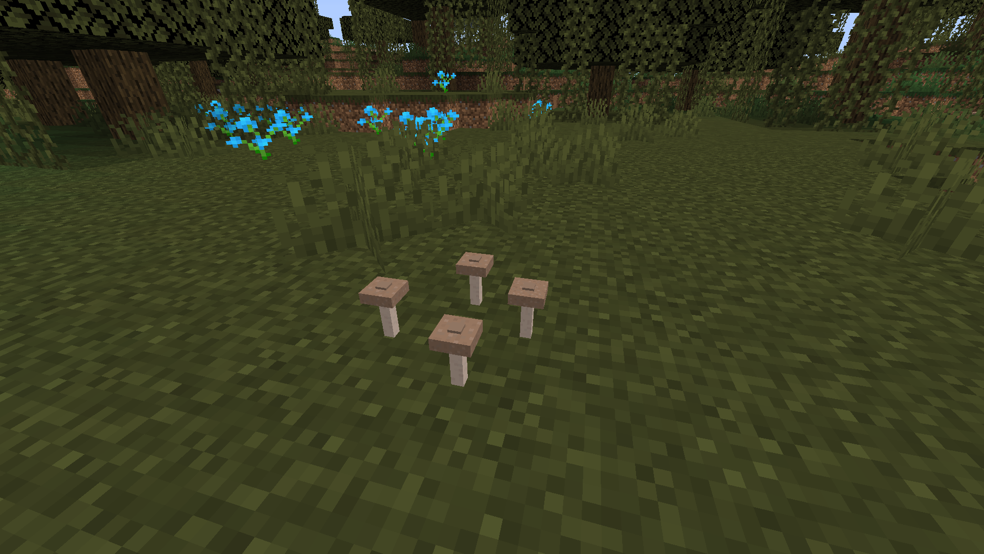 Mushrooms found in the wild (swamp)