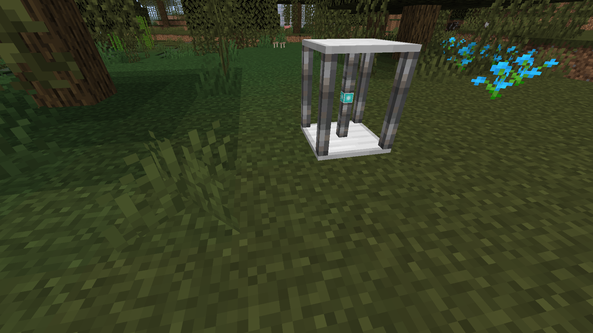 The extractor