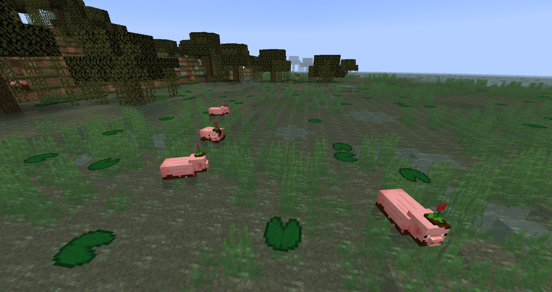 Muddy Pigs in the swamp biome