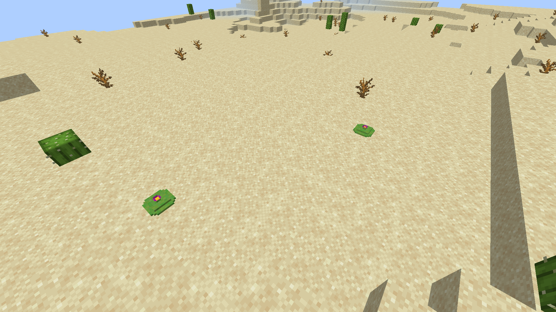Peyotes in their Habitat (The Desert)
