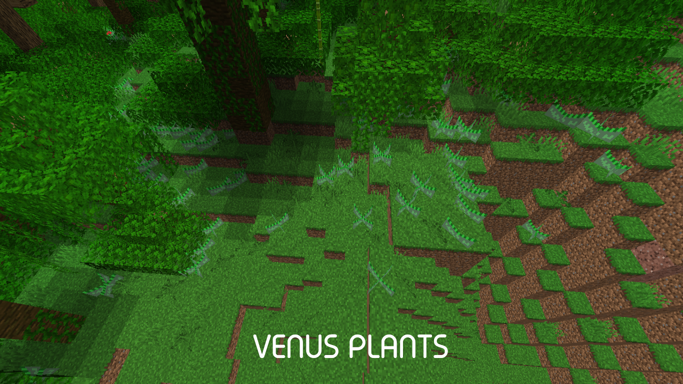 Venus Plant