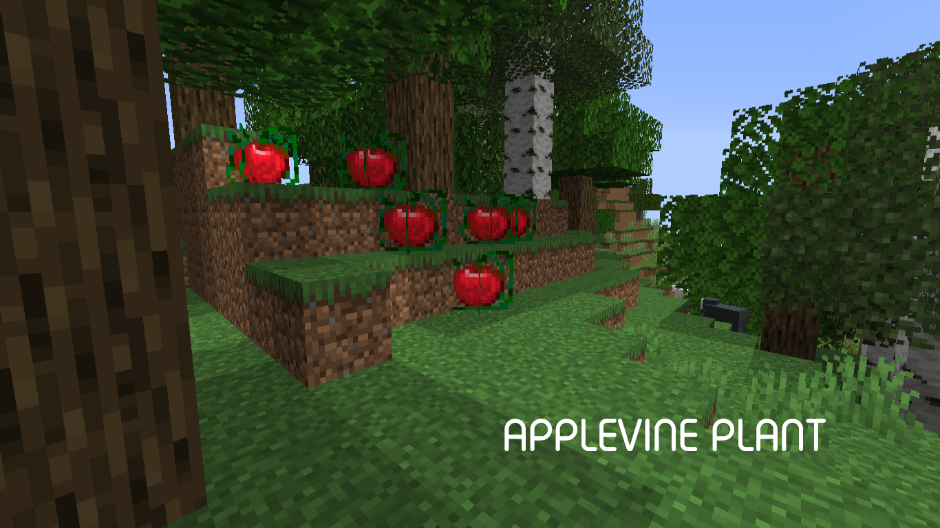 Applevine Plant