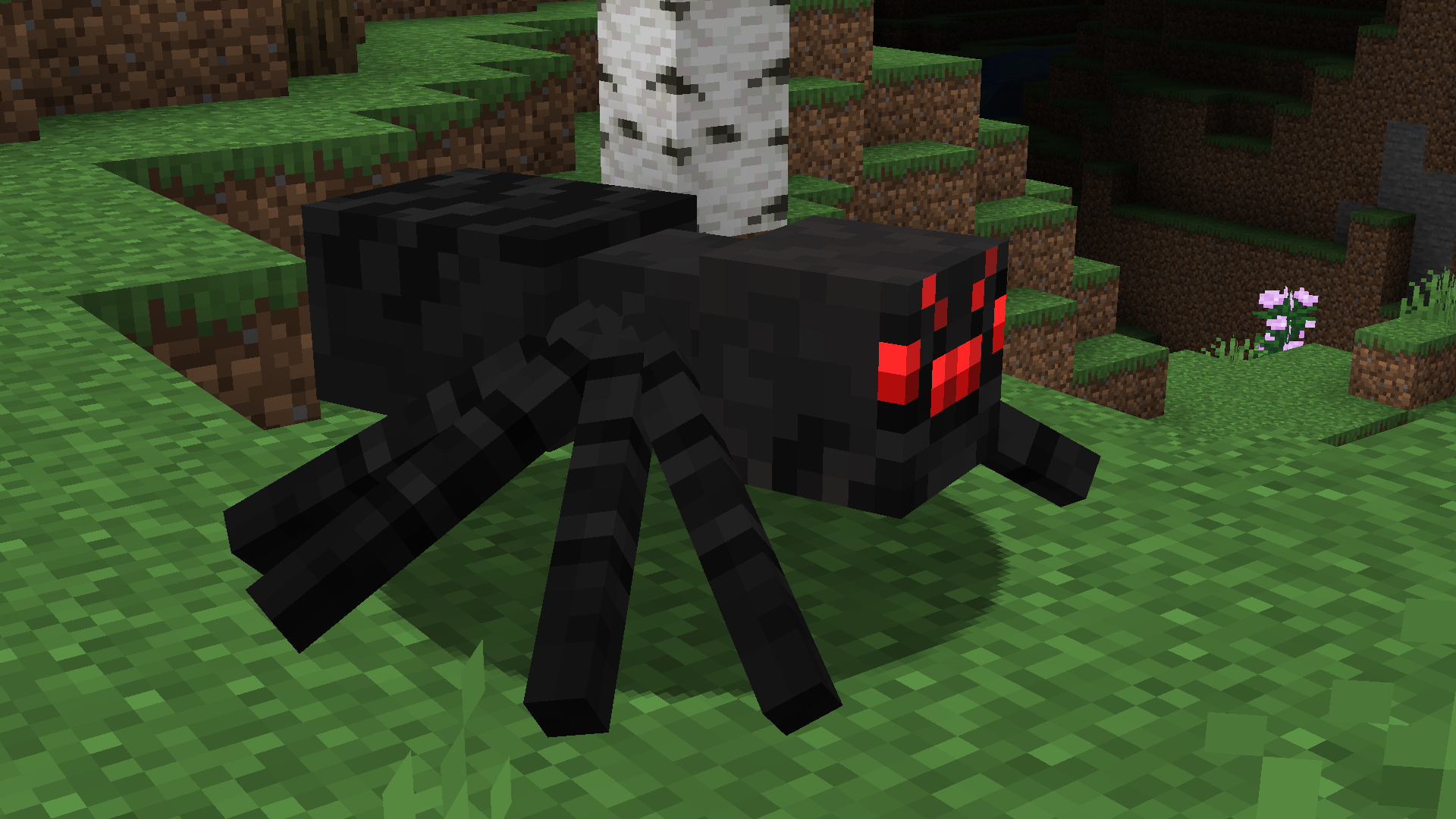 Spider